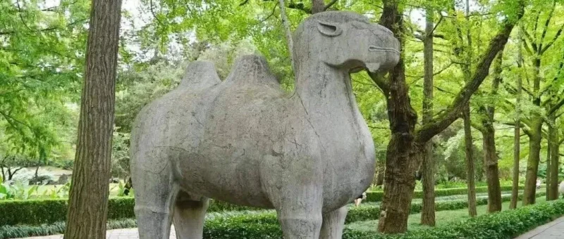 《道德经》-道法自然-道经《第九章》-传承国学正统持焰学堂