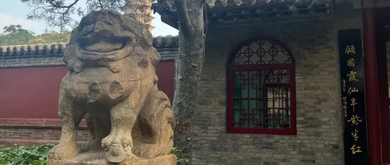 《道德经》-道法自然-道经《第八章》-传承国学正统持焰学堂