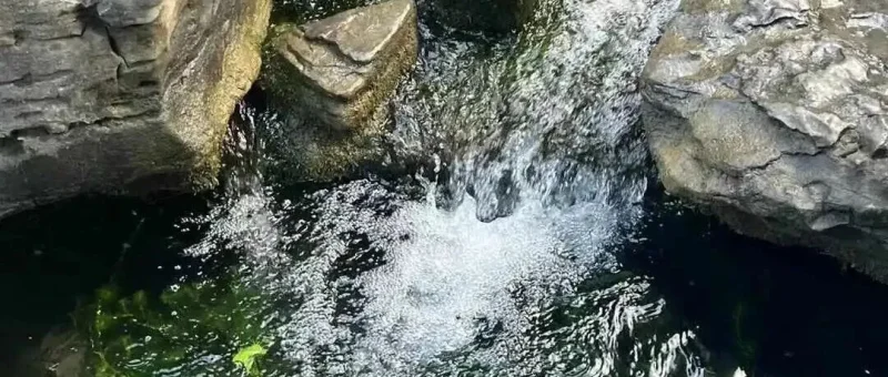 《道德经》-道法自然-道经《第四章》-传承国学正统持焰学堂