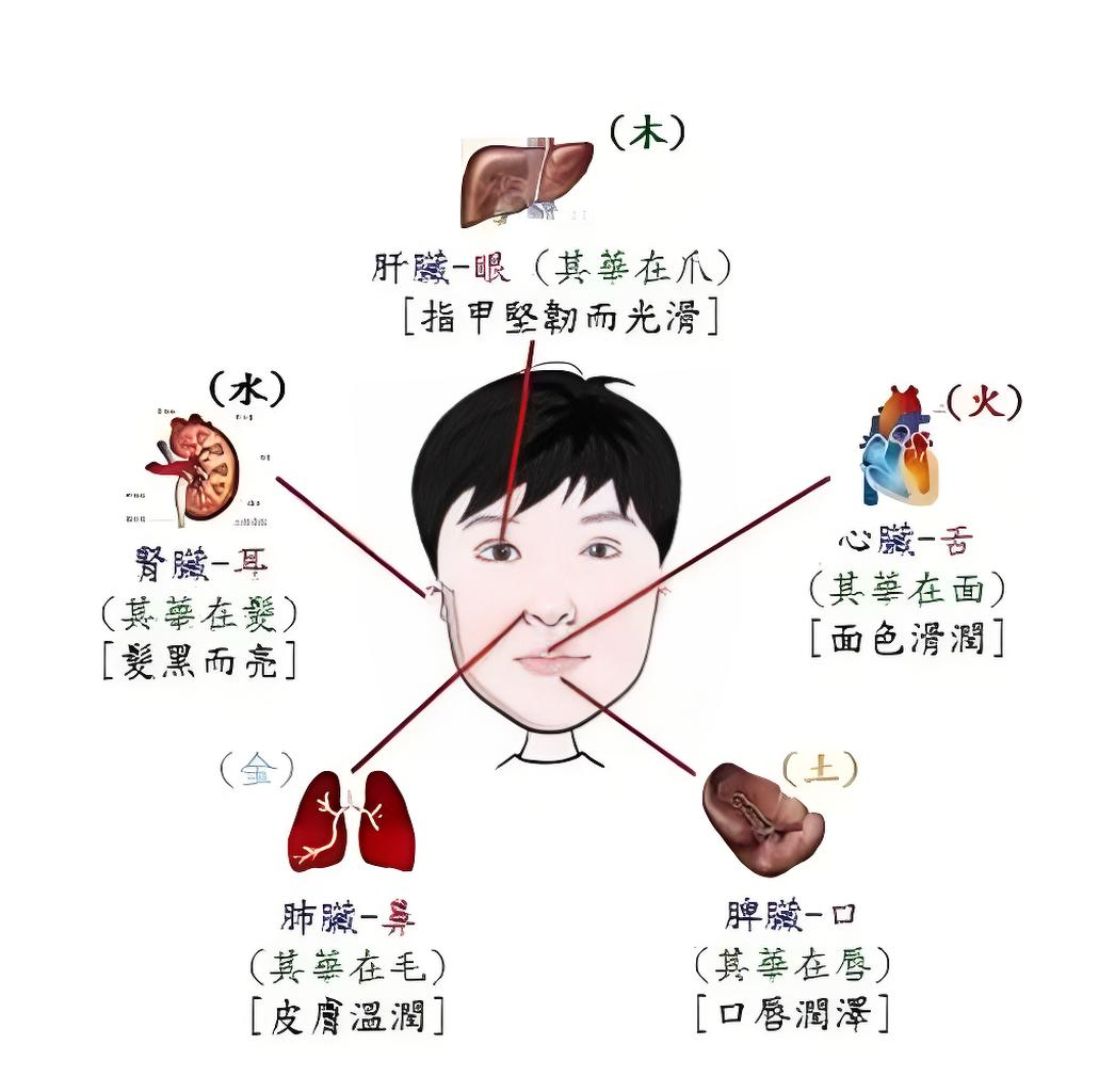 微信图片